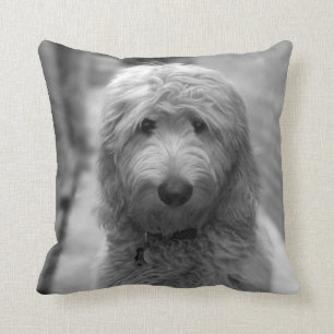 Goldendoodle-Welpe im Garten Kissen