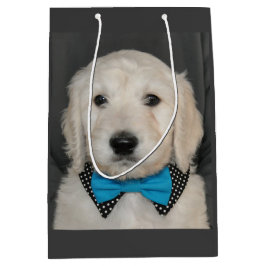 Goldendoodle Welpe in der Mittlere Geschenktüte