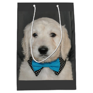 Goldendoodle Welpe in der Mittlere Geschenktüte