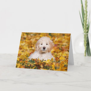 Goldendoodle Welpe in Herbstlauben Karte