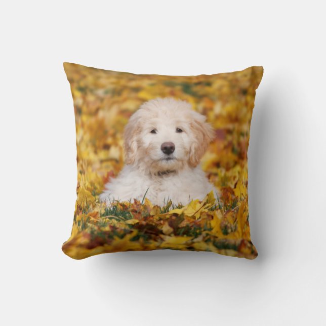 Goldendoodle Welpe in Herbstlauben Kissen (Vorderseite)