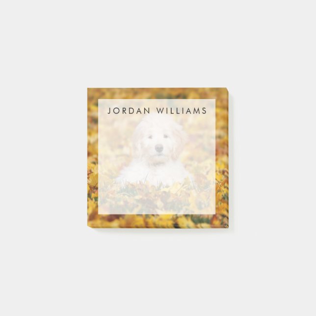 Goldendoodle Welpe in Herbstlauben Post-it Klebezettel (Vorderseite)
