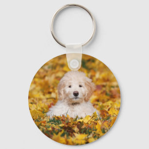Goldendoodle Welpe in Herbstlauben Schlüsselanhänger