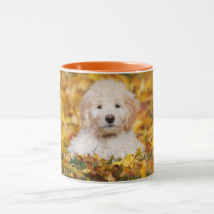 Goldendoodle Welpe in Herbstlauben Tasse