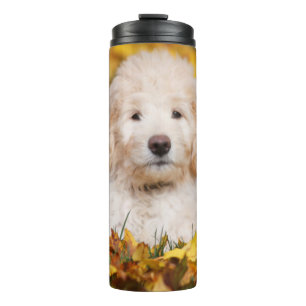 Goldendoodle Welpe in Herbstlauben Thermosbecher