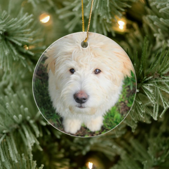 Goldendoodle-Welpe mit Kamera Keramik Ornament (Baum)