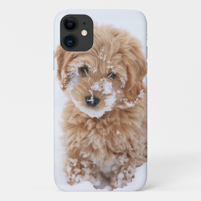 Goldendoodle Welpe mit Schnee im Gesicht Case-Mate iPhone Hülle (Rückseite)
