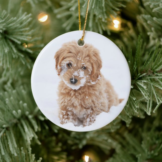 Goldendoodle-Welpe mit Schnee im Gesicht Keramik Ornament (Baum)