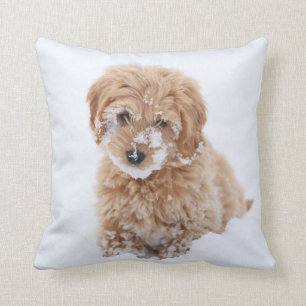Goldendoodle Welpe mit Schnee im Gesicht Kissen