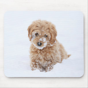 Goldendoodle Welpe mit Schnee im Gesicht Mousepad
