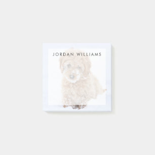 Goldendoodle Welpe mit Schnee im Gesicht Post-it Klebezettel