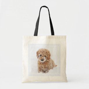Goldendoodle Welpe mit Schnee im Gesicht Tragetasche