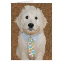 Goldendoodle Welpe Ostern-Karte