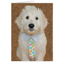 Goldendoodle Welpe Ostern-Karte