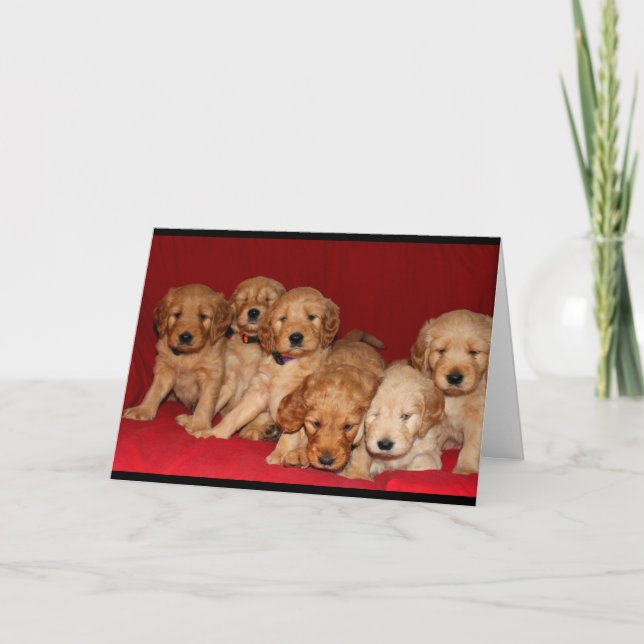 Goldendoodle Welpen, die an Sie denken Karte (Vorderseite)