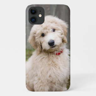 Goldendoodle Welpen im Gras Case-Mate iPhone Hülle