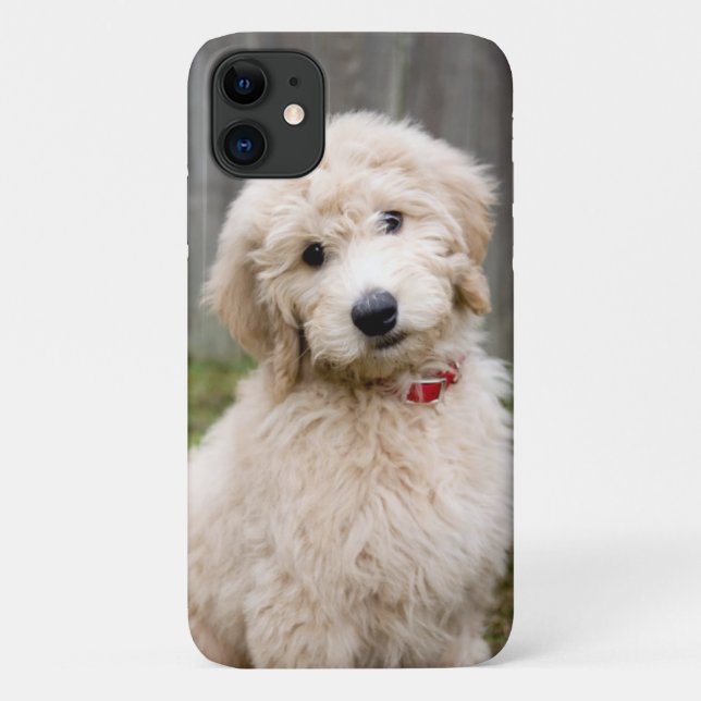 Goldendoodle Welpen im Gras Case-Mate iPhone Hülle (Rückseite)