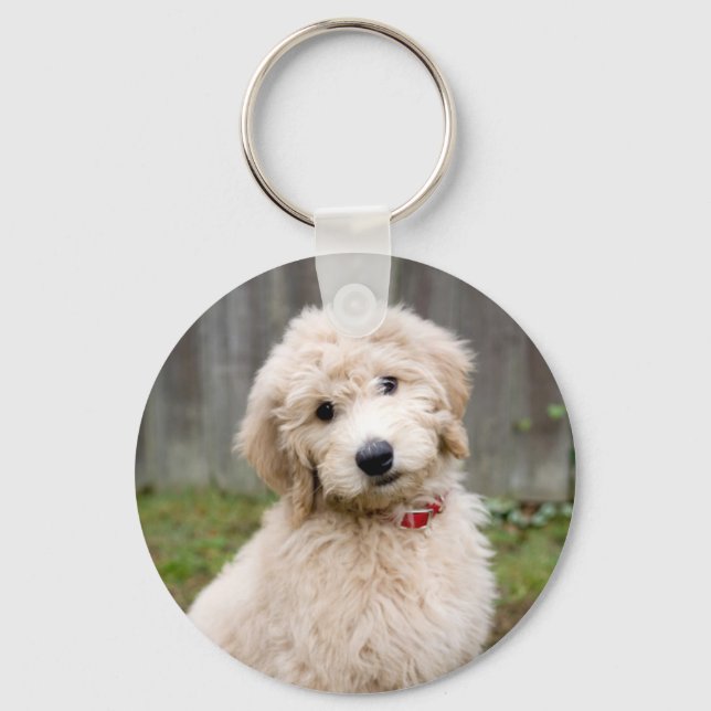 Goldendoodle-Welpen im Gras Schlüsselanhänger (Vorderseite)