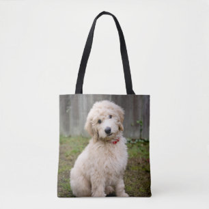 Goldendoodle Welpen im Gras Tasche