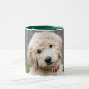 Goldendoodle Welpen im Gras Tasse
