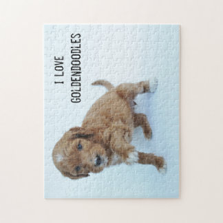 Goldendoodle Welpen-Puzzle