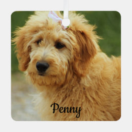 Goldendoodle Welpenhund Ornament Aus Metall