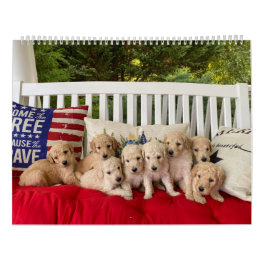 Goldendoodle Welpenkalender Kalender