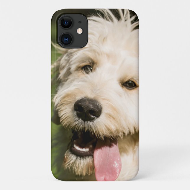 Goldendoodle Welpenpaneel Case-Mate iPhone Hülle (Rückseite)
