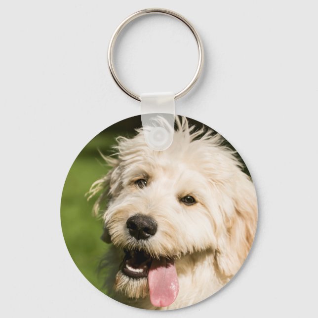 Goldendoodle Welpenpansche Schlüsselanhänger (Vorderseite)
