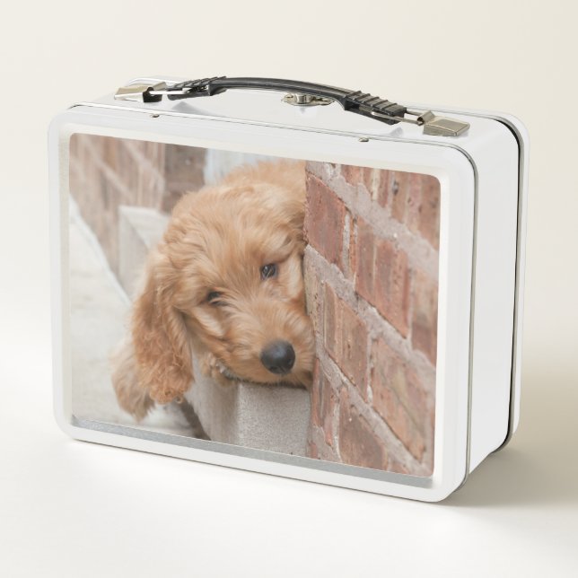 Goldendoodle-Welpenpfanne Metall Brotdose (Rückseite)