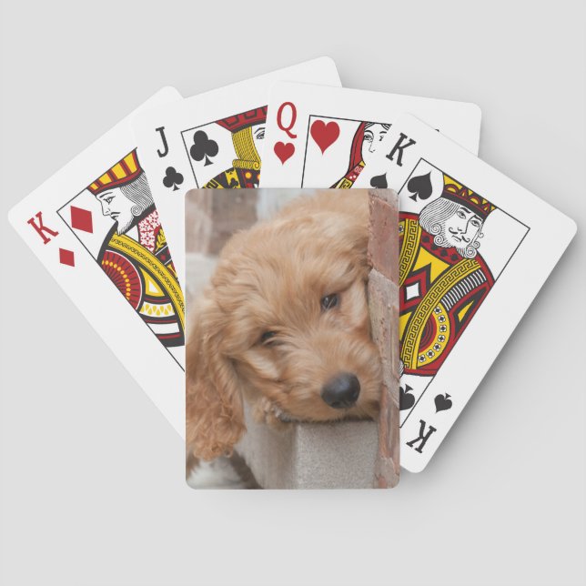 Goldendoodle-Welpenpfanne Spielkarten (Rückseite)