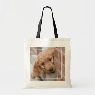Goldendoodle-Welpenpfanne Tragetasche