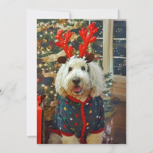 Goldendoodle Zuhause für die Ferien Feiertagskarte (Vorderseite)