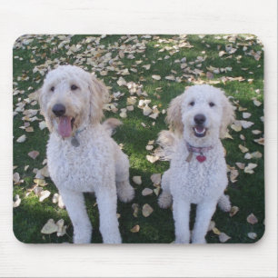 GoldenDoodles im Herbstlaub Mousepad