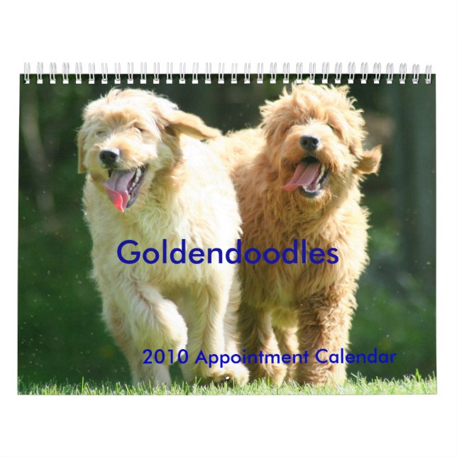Goldendoodles Kalender (Titelbild)