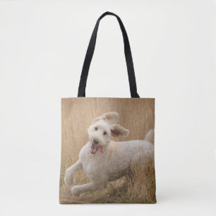 Goldendoodrom läuft durch Gras Tasche