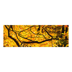 Goldene Adern des Herbstes Fotodruck