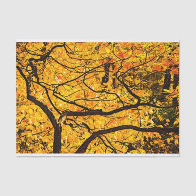 Goldene Adern des Herbstes Seidenpapier (Vorderseite)