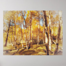 Goldene Aspen-Waldlandschaft Poster