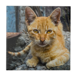 Goldene Augen Fliese