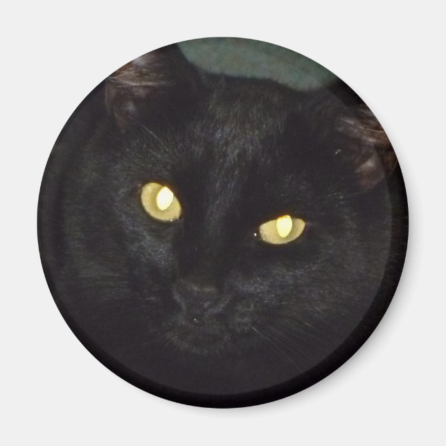 Goldene Augen Magnet (Vorne)