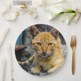 Goldene Augen Pappteller