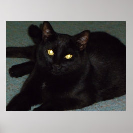 Goldene Augen Poster