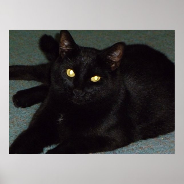 Goldene Augen Poster (Vorne)