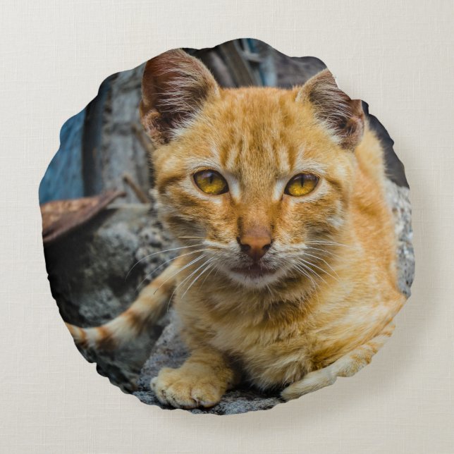 Goldene Augen Rundes Kissen (Rückseite)