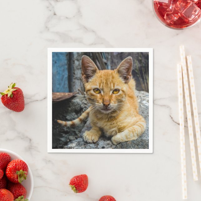 Goldene Augen Serviette (Beispiel)