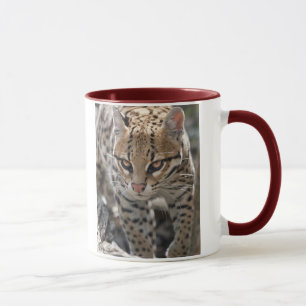 Goldene Augen Tasse