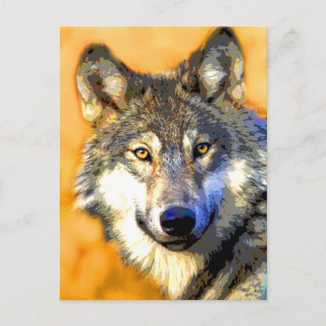 Goldene Augen (Wolf) Postkarten (Vorderseite)