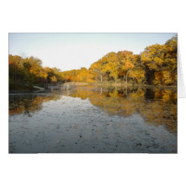 Goldene Bäume und Teich