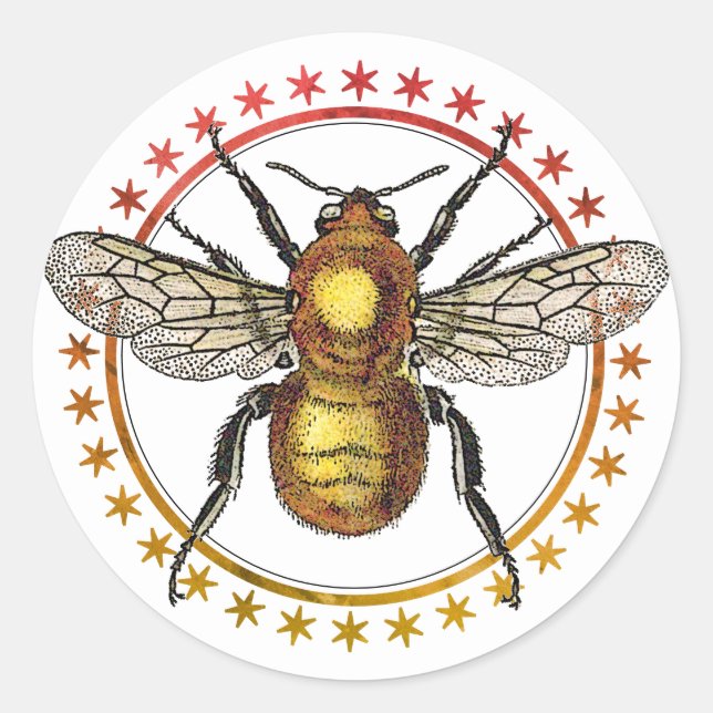 Goldene Bienen und Sterne Runder Aufkleber (Vorderseite)